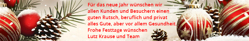 FE2 Weihnachtsdekoration